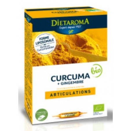 DIETAROMA CURCUMA + GINGEMBRE BIO boite 20 amp