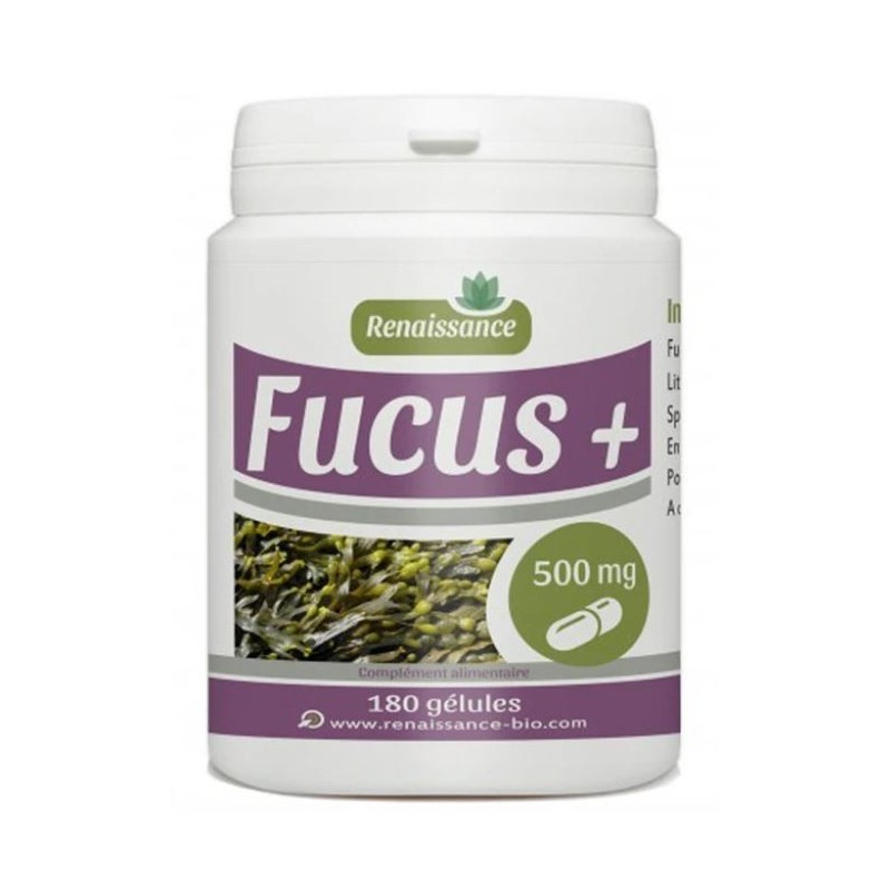 RENAISSANCE Fucus + 500 mg boite 180 gélules