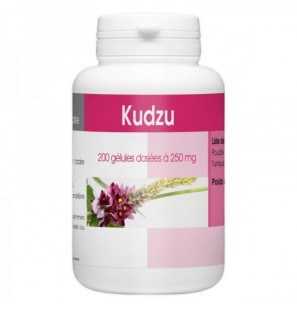 GPH DIFFUSION Kudzu 250 mg | 200 gélules