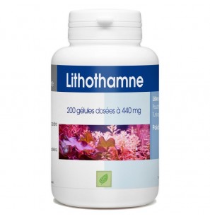 GPH DIFFUSION Lithotame 440 mg | 200 gélules