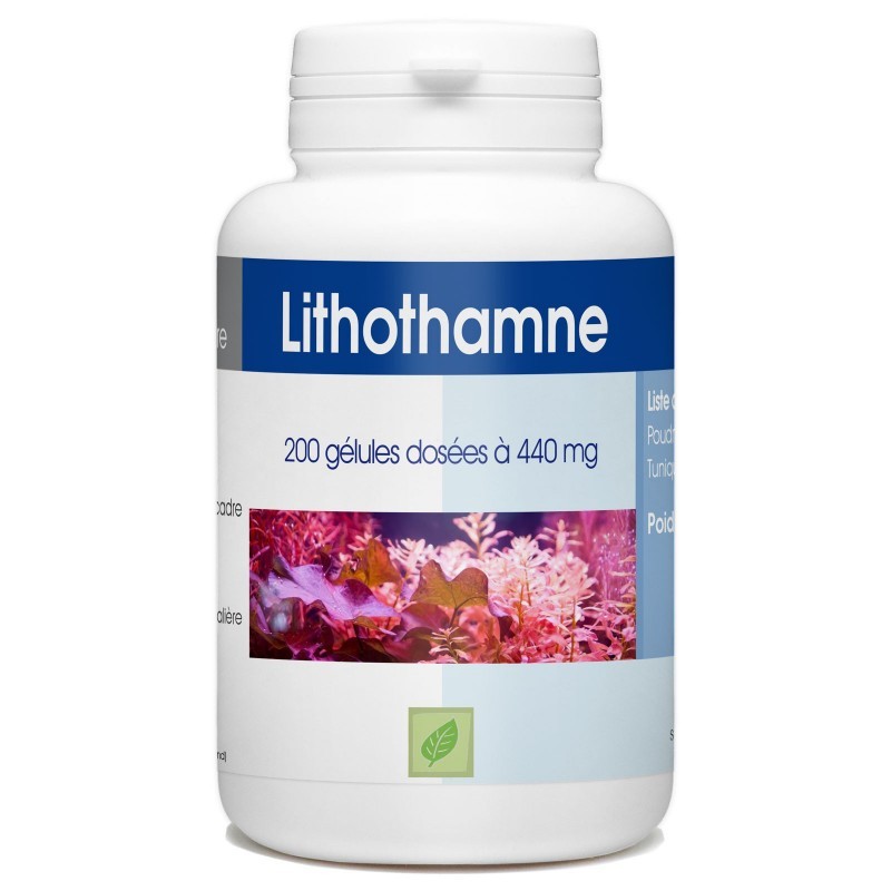 GPH DIFFUSION Lithotame 440 mg | 200 gélules