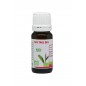 GPH DIFFUSION TEA TREE BIO huile essentielle 10 ml GPH DIFFUSION TEA TREE BIO huile essentielle 10 ml