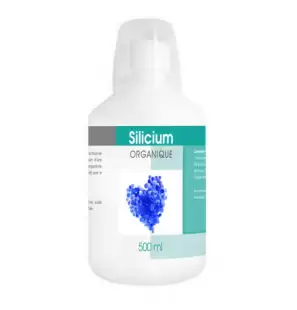 GPH DIFFUSION Silicium Organique 500 ml