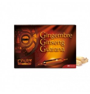 PHYTO CONSEILS Gingembre Ginseng Guarana boite 20 ampoules