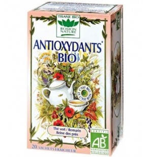 ROMON NATURE Anti Oxydants BIO boite 20 sachets