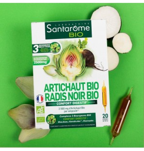 SANTAROME Artichaut BIO Radis Noir BIO | 20 ampoules