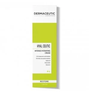 DERMACEUTIC HYAL CEUTIC crème hydratation intense |40 ml