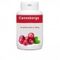 GPH DIFFUSION Canneberge 250 mg Bio | 100 gélules