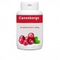 GPH DIFFUSION Canneberge 250 mg Bio | 200 gélules