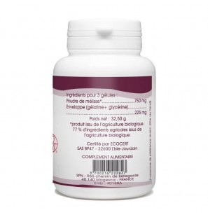 GPH DIFFUSION Mélisse 250 mg | 100 gélules