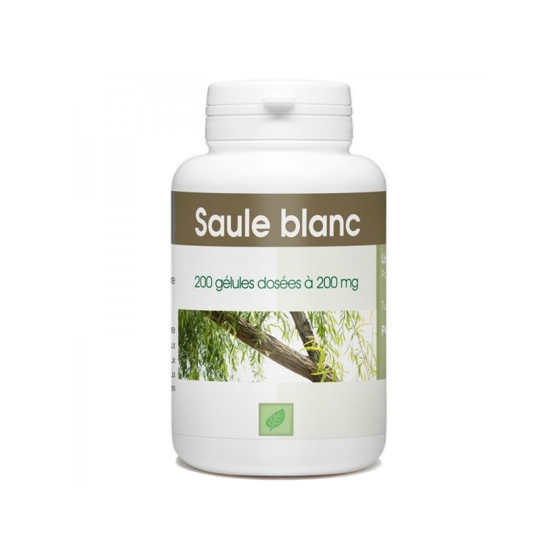 GPH DIFFUSION Saule Blanc 250 mg | 200 gélules