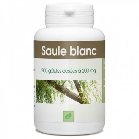 GPH DIFFUSION Saule Blanc 250 mg | 200 gélules