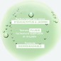 KLORANE ORTIE shampooing sébo-régulateur | 200 ml KLORANE ORTIE shampooing sébo-régulateur | 200 ml