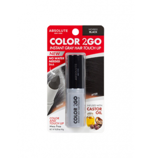 ABSOLUTE NEW YORK COLOR 2GO BLACK 6G REF HCHS02