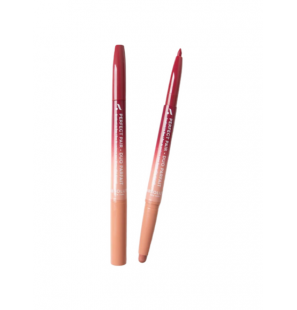 ABSOLUTE NEW YORK LIP DUO NAKED OMBRE REF ALD08