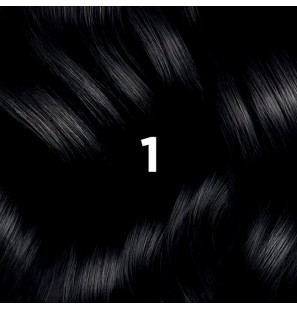 PHYTO COLOR N° 1 noir