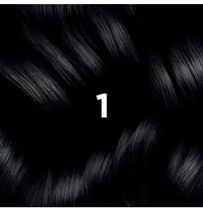 PHYTO COLOR N° 1 noir