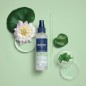 PHYTO VOLUME spray brushing volumateur | 150ml PHYTO VOLUME spray brushing volumateur | 150ml