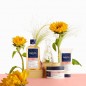 PHYTO COULEUR après-shampooing raviveur d'éclat | 175ml PHYTO COULEUR après-shampooing raviveur d'éclat | 175ml