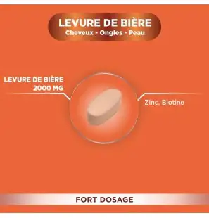 FORTE PHARMA EXPERT CHEUVEUX LEVURE DE BIERE 2000MG B56 COMP