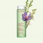 CLARINS LOTION TONIQUE PURIFIANTE PEAUX MIXTES A GRASSES 200ML