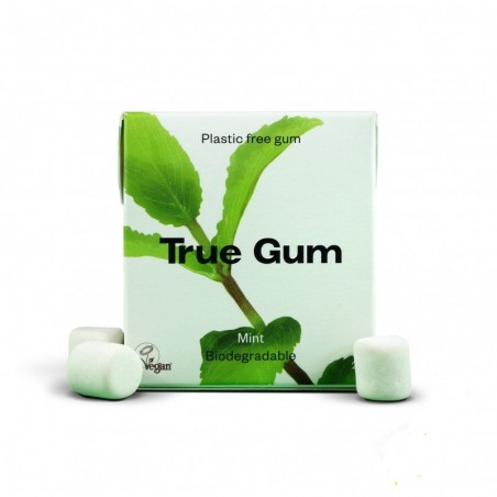 TRUE CHEWING GUM Menthe sans Sucre 21G