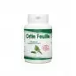 GPH ORTIE FEUILLE BIO 210MG B200 GELULES