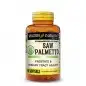 MASON NATURAL SAW PALMETTO 500MG B60 CAPSULES