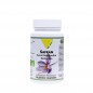 VIT'ALL+ SAFRAN B30 GELULES