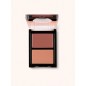 ABSOLUTE NEW YORK BLOOM BLUSH RUSTIC CARNATION REF MFCB05