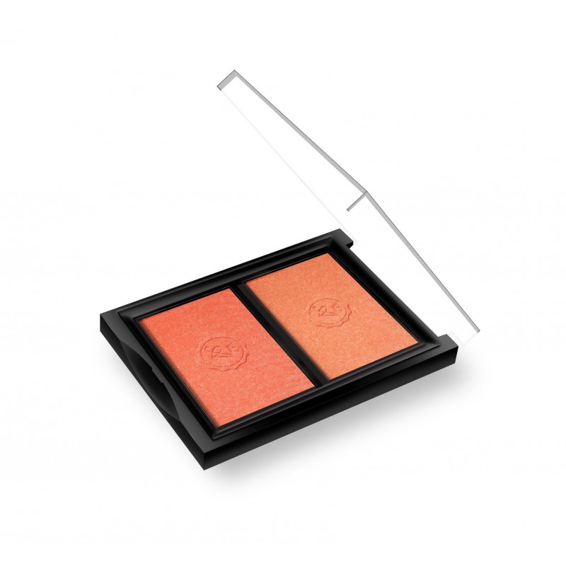 ABSOLUTE NEW YORK ABNY CHIC CHEEK DUO PINK CH REF MFBD02 ABSOLUTE NEW YORK ABNY CHIC CHEEK DUO PINK CH REF MFBD02