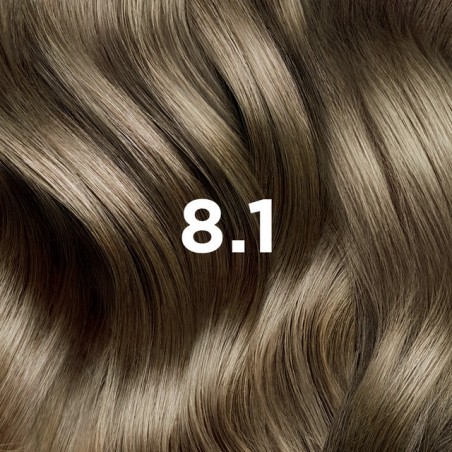 PHYTO COLOR N8.1 BLOND CLAIR CENDRE