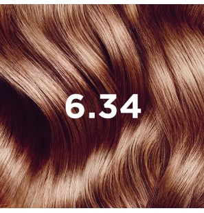 PHYTO COLOR N6.34 BLOND FONCE CUIVRE