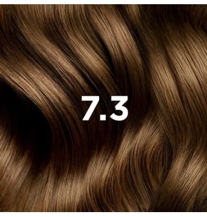 PHYTO COLOR N7.3 BLOND DORE