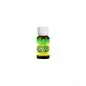 NATURE SOIN HUILE ESSENTIELLE DE ROMARIN 13ML