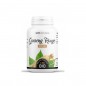 GPH GINSENG ROUGE BIO 300MG B200 GELULES