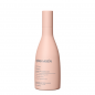 BJORN AXEN ANTI FRIZZ SHAMPOOING 250ML