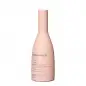 BJORN AXEN ANTI FRIZZ SHAMPOOING 250ML