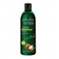 NATURALIUM SHAMPOOING NUTRITIVE ARGAN 400ML