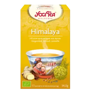 YOGI TEA Himalaya