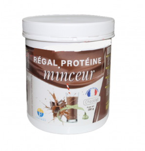 FENIOUX REGAL PROTEINE MINCEUR chocolat 350G